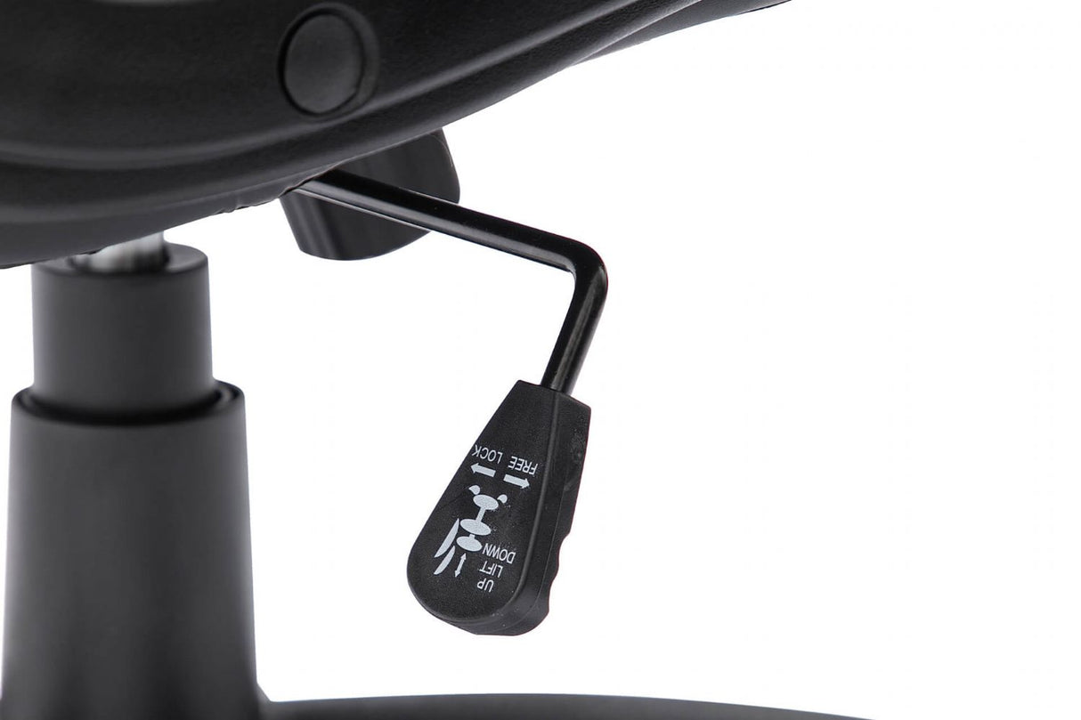 Holden Executive Office Chair Black