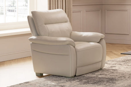 Cashmere Leather Armchair with Padded Armrest