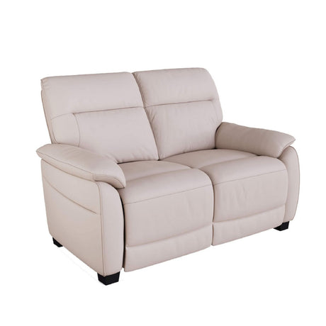 Cashmere Leather 2 Seater Standard Back Sofa