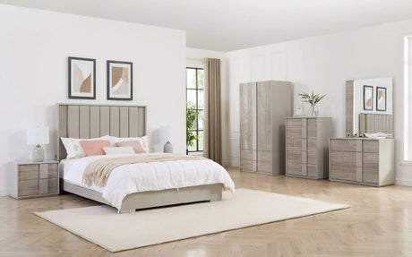 Grey Gloss Finish 2 Door 2 Drawer Double Wardrobe